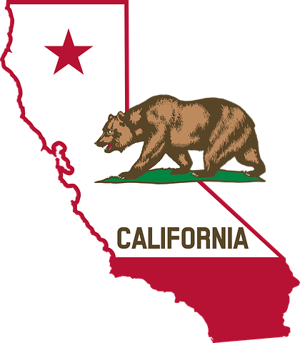 California State Outline With Bear Emblem